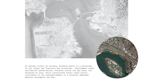 The Docks: Engaging the Edge at Brooklyn Basin