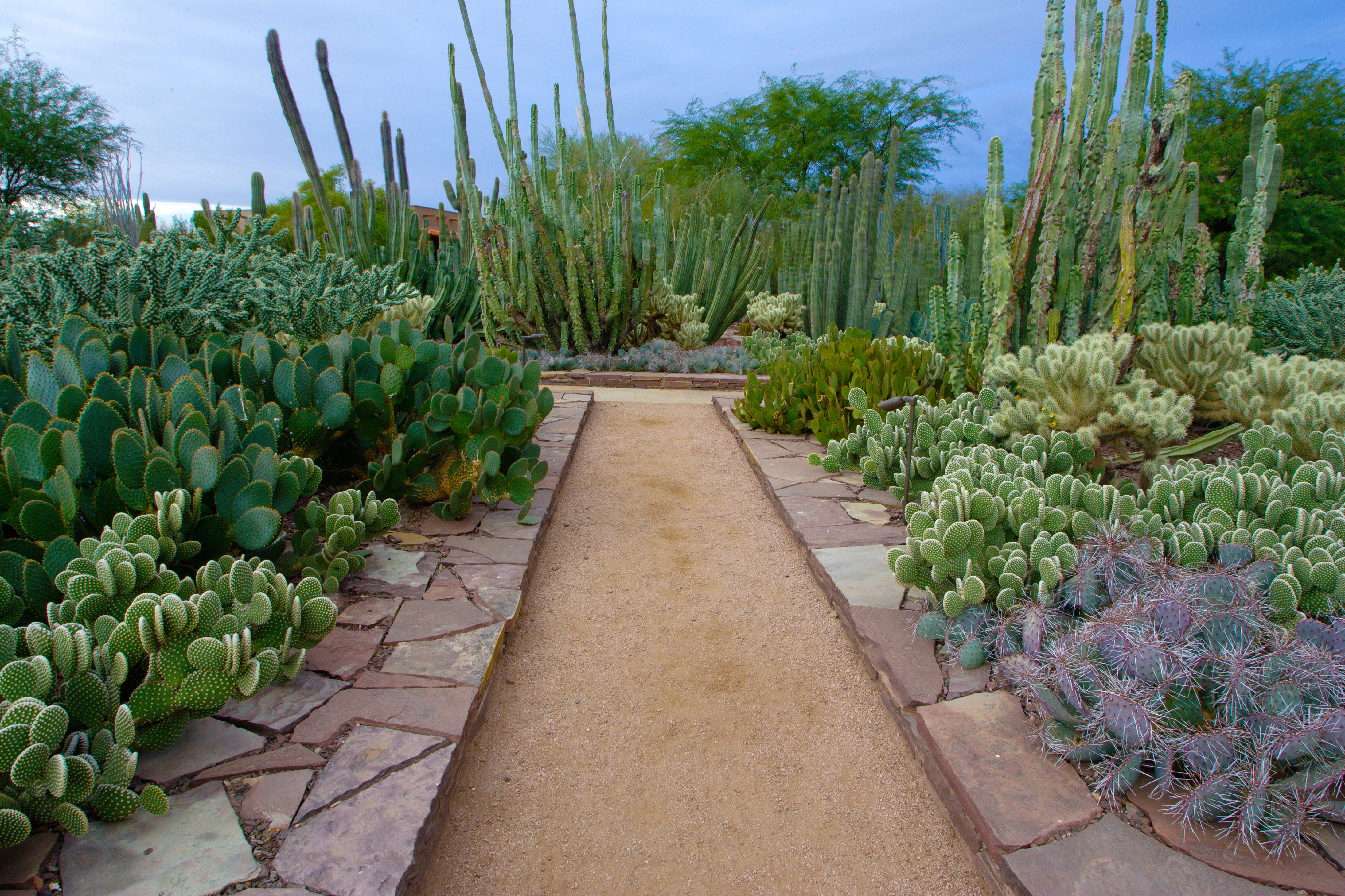 ASLA 2013 Professional Awards | Ottosen Entry Garden, Desert ...