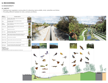 Re-transforming Landscape at the Arroyo Seco Confluence
