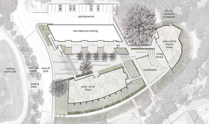Nueva School
