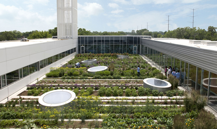 Rooftop Haven for Urban Agriculture
