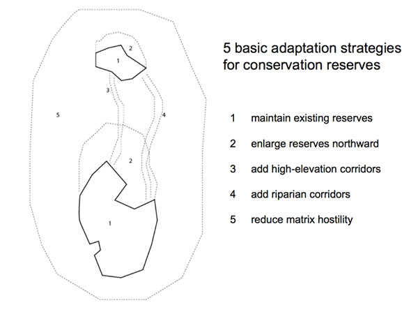 hill_basic adaptation strategies