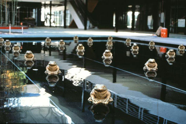 schwartz_frogs schwartz_frogs