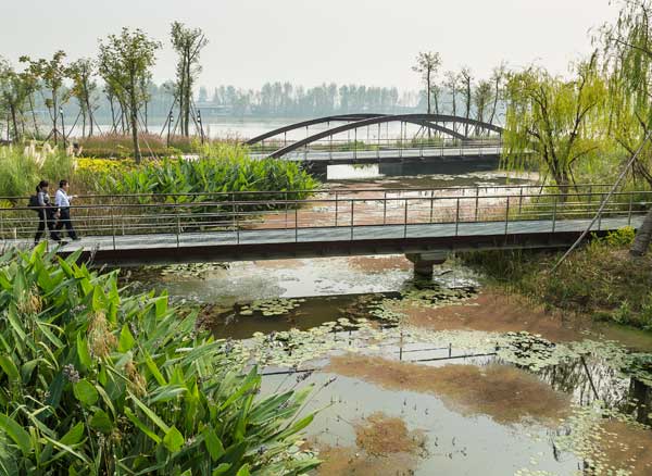 shanley_fuyang shanley_fuyang