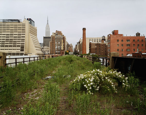 hammond_originalhighline2 hammond_originalhighline2