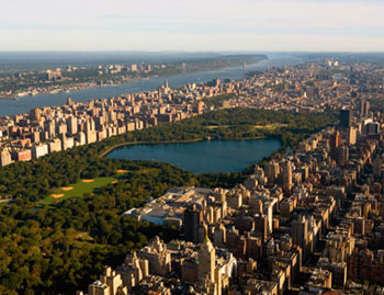 david owen nyc david owen nyc