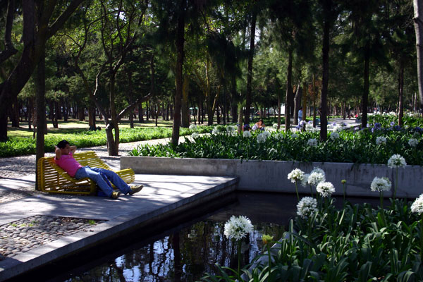 Mexico City park Mexico City park