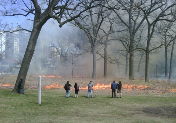 lister_torontofire lister_torontofire