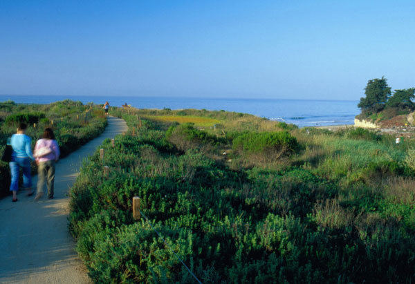 lyanda_birdhabitat lyanda_birdhabitat