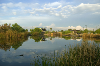 Rio Salado Rio Salado