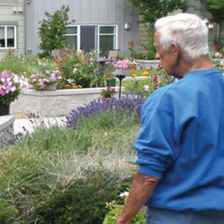 Adult-Alzheimers-Assisted-Living-Gardens.jpg Adult-Alzheimers-Assisted-Living-Gardens.jpg