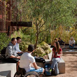 Adult-Mental-Cognition-Underwood-Family-Sonoran-Lab.jpg Adult-Mental-Cognition-Underwood-Family-Sonoran-Lab.jpg