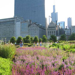 Adult-Stress-Lurie-Garden.jpg Adult-Stress-Lurie-Garden.jpg