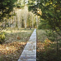 Adult-Well-being-Theater-Group-Retreat.jpg Adult-Well-being-Theater-Group-Retreat.jpg