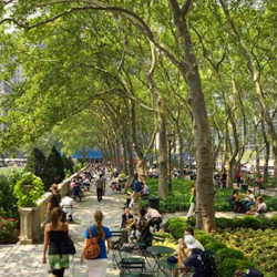 Bryan-Park-Adult-Asthma.jpg Bryan-Park-Adult-Asthma.jpg