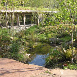 Children-ADD-Cedar-River.jpg Children-ADD-Cedar-River.jpg