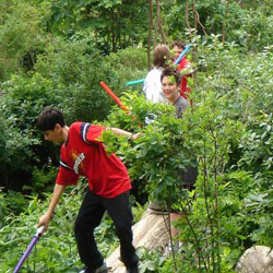 Children-Stress---Tear-Drop-Park.jpg Children-Stress---Tear-Drop-Park.jpg