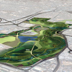 Overview - the regeneration Overview - the regeneration