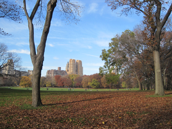 Central Park Central Park