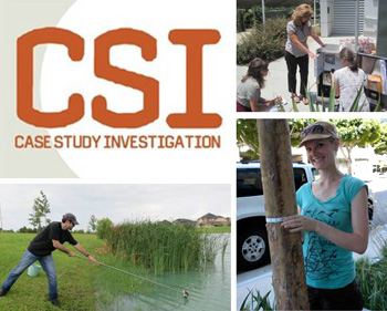 Csi effect dissertation