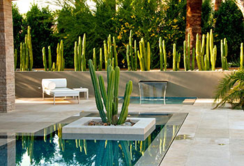 New Century Garden New Century Garden