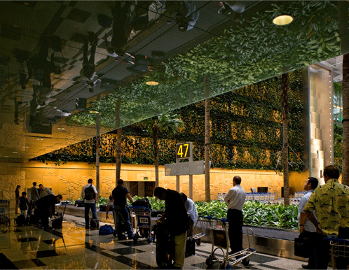 Singapore Changi Airport Terminal 3 Greenwall 