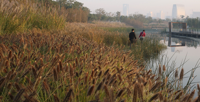 Shanghai Houtan Park