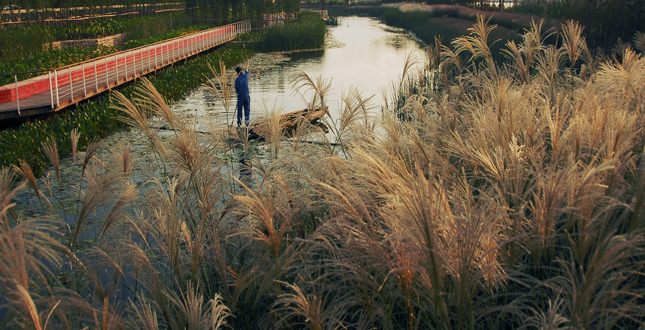 Shanghai Houtan Park