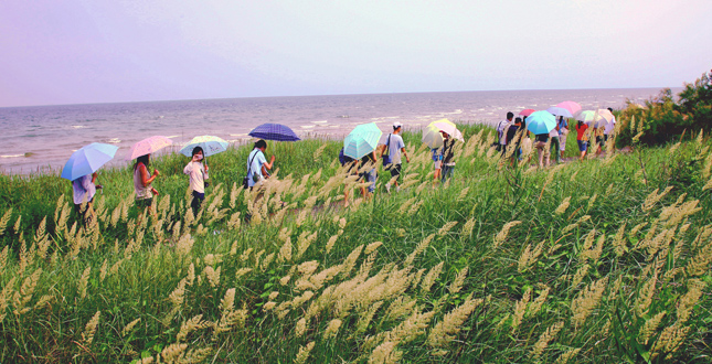 The Qinhuangdao Beach Restoration