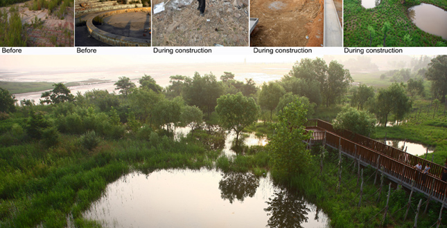 The Qinhuangdao Beach Restoration