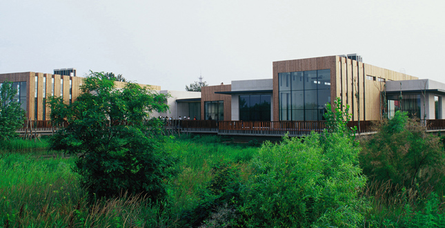 The Qinhuangdao Beach Restoration