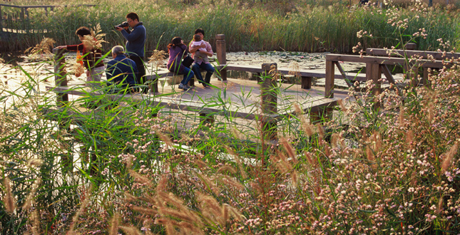 Tianjin Qiaoyuan Park