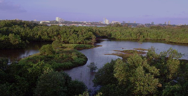 The Sungei Buloh Wetland Reserve Master Plan