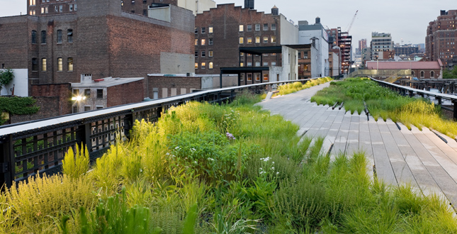 High Line Park