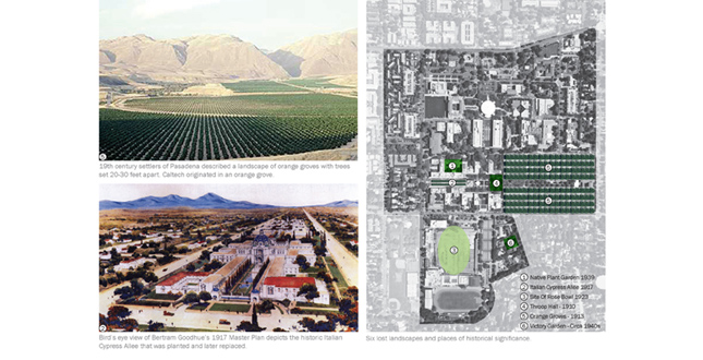 California Institute of Technology Landscape Master Plan