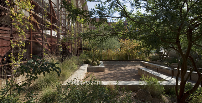 Sonoran Landscape Laboratory