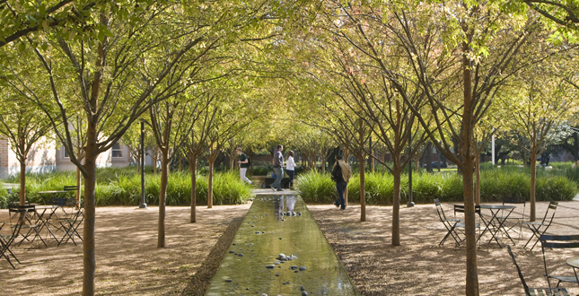 High Line Park