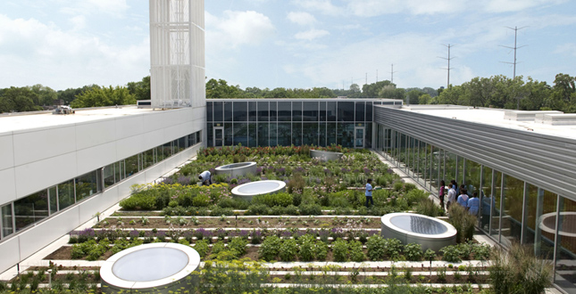 A Rooftop Haven for Urban Agriculture