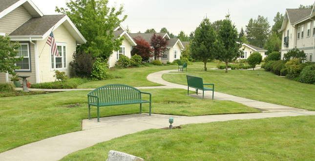 Access to Nature for Older Adults