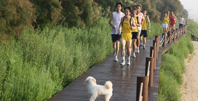 The Qinhuangdao Beach Restoration