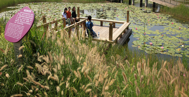 Tianjin Qiaoyuan Park