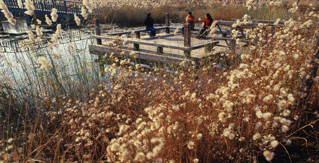 Tianjin Qiaoyuan Park