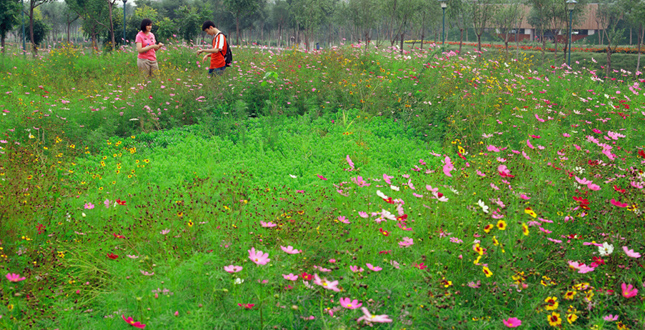 Tianjin Qiaoyuan Park