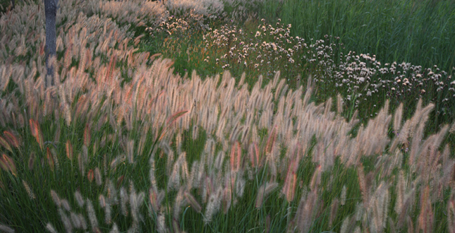 Tianjin Qiaoyuan Park