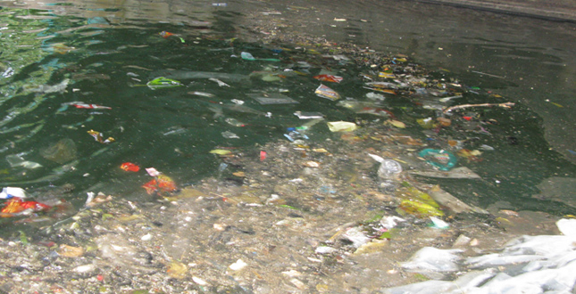 Gowanus Canal Sponge Park