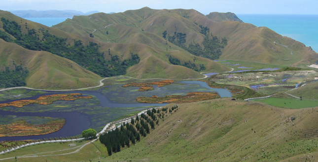 Orongo Station Master Plan