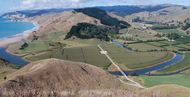 Orongo Station Master Plan