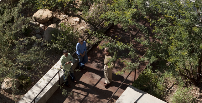 Sonoran Landscape Laboratory