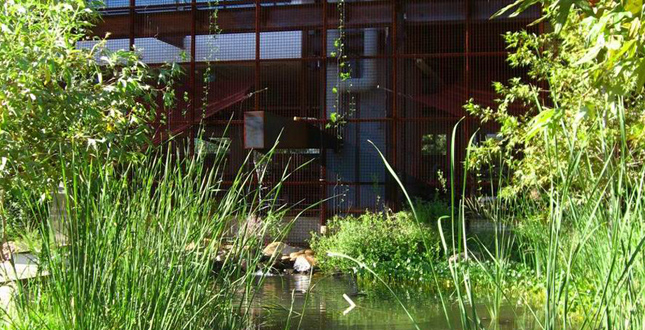 Sonoran Landscape Laboratory