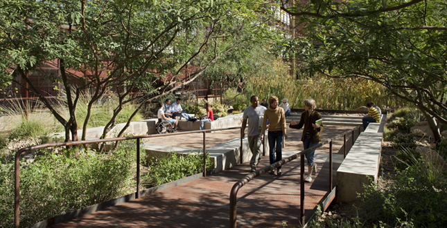 Sonoran Landscape Laboratory